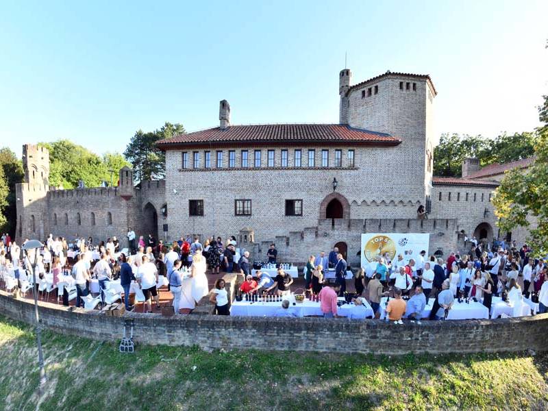 novost najbolja fruškogorska vina stižu u Čortanovce vinski magazin vino fino