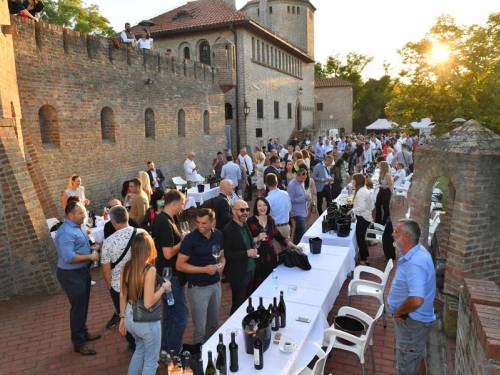 novost najbolje od fruške gore vinski magazin vino fino
