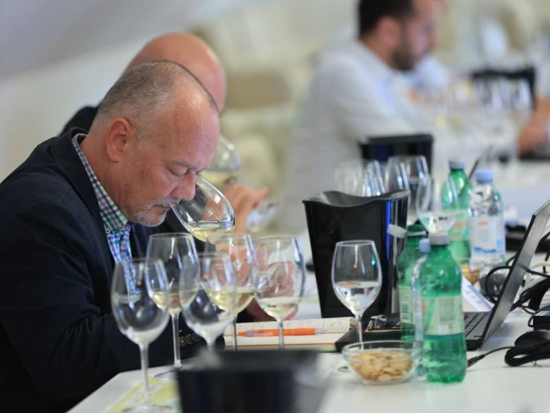 novost najbolji grašci po izboru žirija grow du monde vinski magazin vino fino