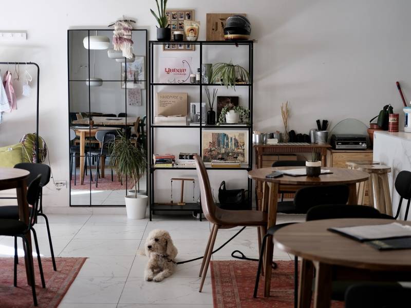 NYGGTYK 2 Sciarpe Da Donna A Collo Alto, Colletto Solare E Caldo - Foto 9