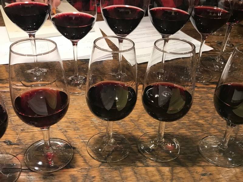 novo-blog-vino-hr-irasutoya