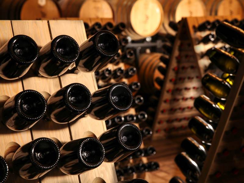 novost penušava studija teroara vinski magazin vino fino