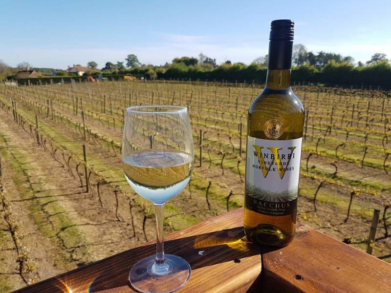 novost platina dekantera za belo vino iz engleske vinski magazin vino fino