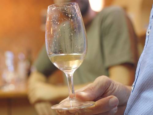 novost porodična vinarija u korak sa trendovima vinski magazin vino fino
