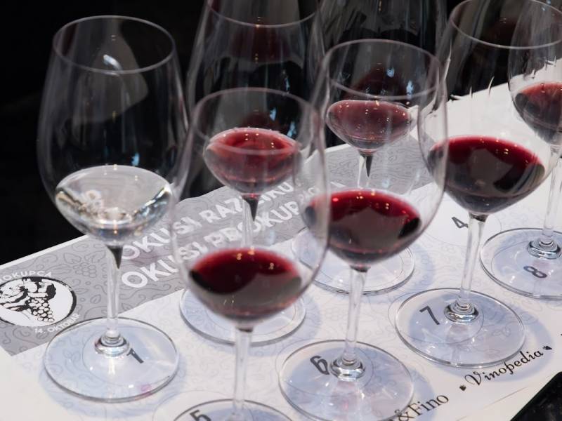 novost program dana prokupca - najbogatiji do sada vinski magazin vino fino