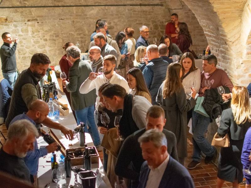 novost prokupac u punom sjaju vinski magazin vino fino