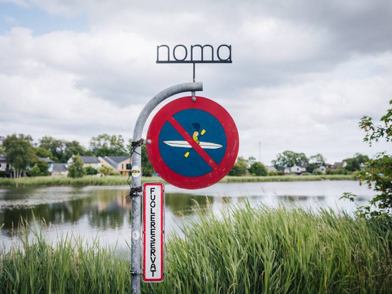 novost rene redžepi sledeće godine trajno zatvara nomu vinski magazin vino fino