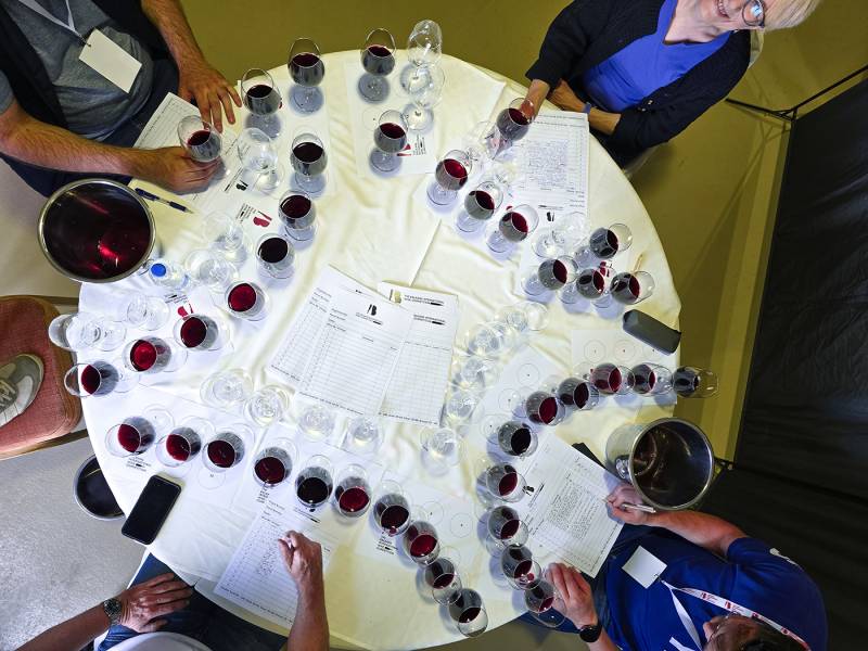 novost Šardone iz srbije - najbolje belo vino balkana vinski magazin vino fino