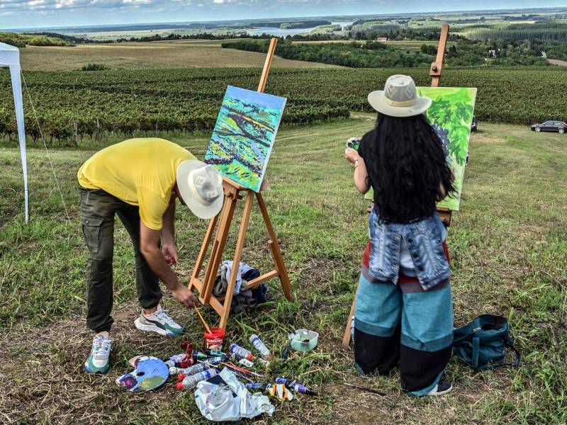 novost tradicionalna berba u srcu fruške gore vinski magazin vino fino