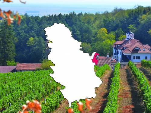 novost uspavani div vinski magazin vino fino