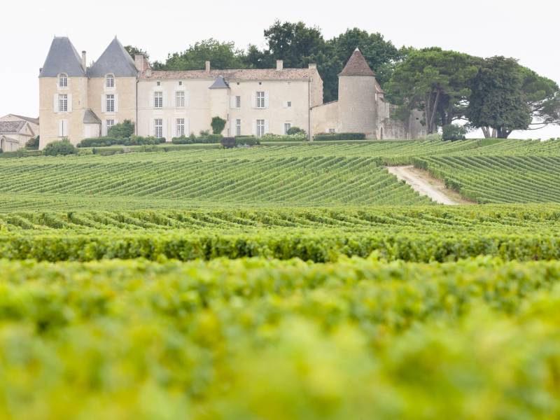 novost vina iz bordoa više nikada neće biti ista vinski magazin vino fino