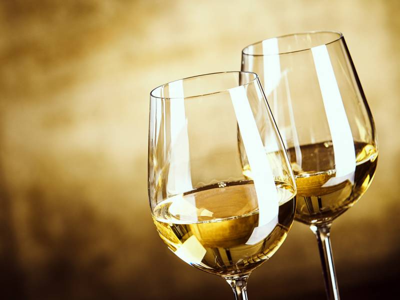 novost vino fino awards 2024 bela vina godine vinski magazin vino fino