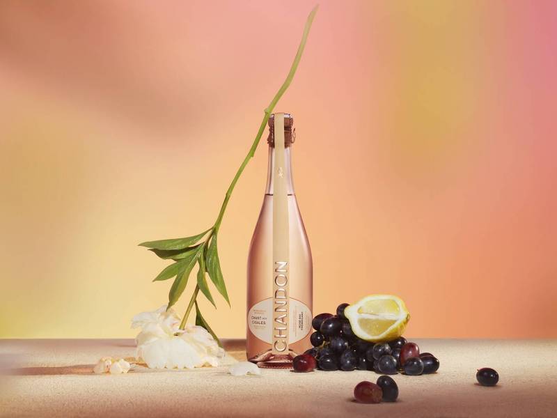 novost vino sa pesmom cikada vinski magazin vino fino