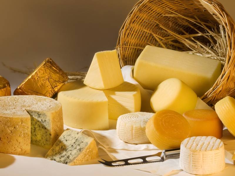 novost više od 200 sireva na balkan cheese festivalu vinski magazin vino fino