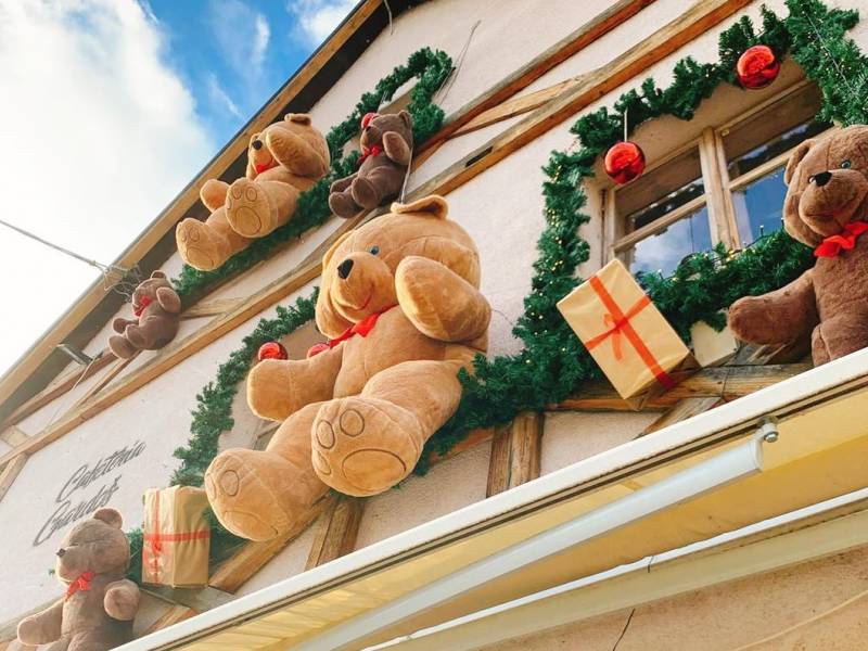 novost zemunski medvedići prodaju se na humanitarnoj aukciji vinski magazin vino fino