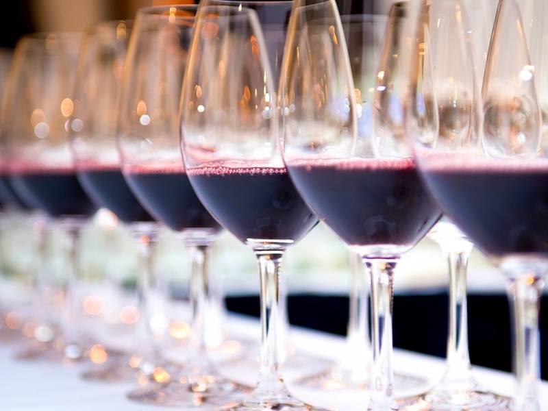 novost zlatna odličja za vina iz negotinske krajine vinski magazin vino fino