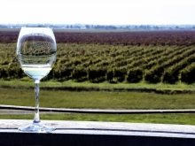 reportaza mediteranski vinski maraton vinski magazin vino fino