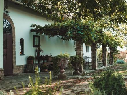 restoran nedelje restoran nedelje salaš kovač 1920 vinski magazin vino fino