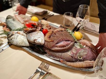 restoran nedelje ribar u beogradu vinski magazin vino fino