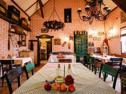restoran nedelje salaš 137 vinski magazin vino fino
