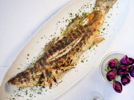restoran nedelje Šaran vinski magazin vino fino