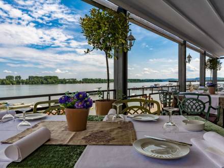 restoran nedelje Šaran vinski magazin vino fino