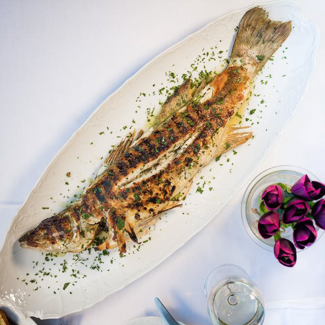restoran nedelje Šaran vinski magazin vino fino