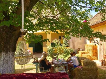 restoran nedelje sedam dudova vinski magazin vino fino
