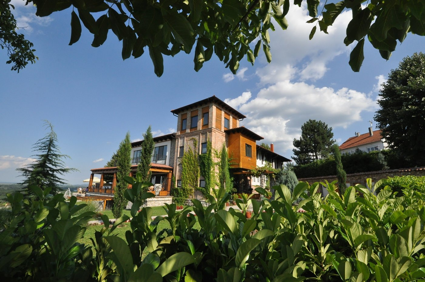 restoran nedelje vinogradi vinski magazin vino fino