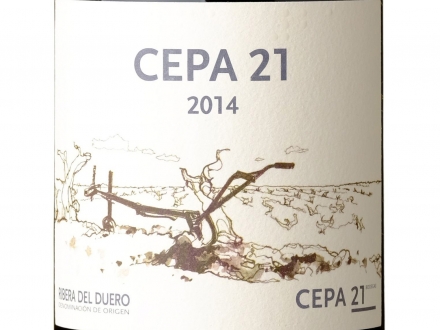 vino nedelje vino nedelje cepa 21 2014 vinski magazin vino fino