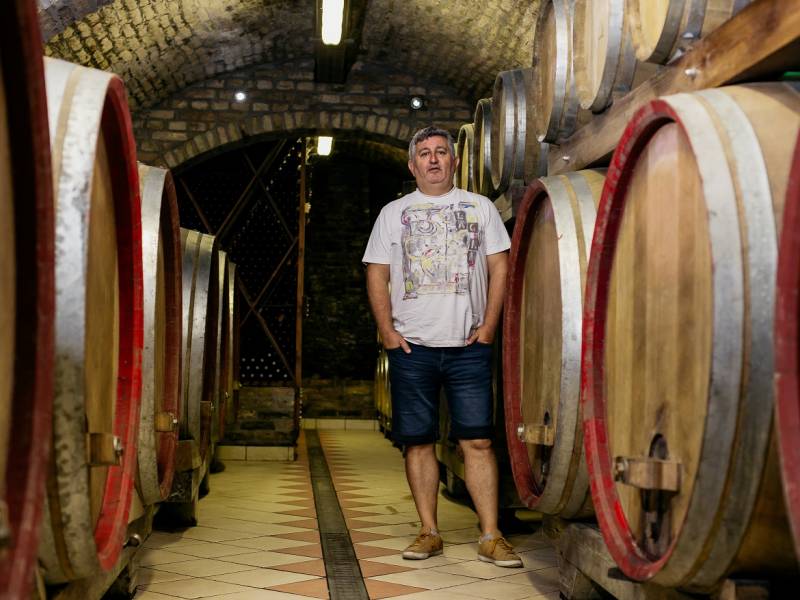 vinopis ne možeš napraviti granicu na fruškoj gori vinski magazin vino fino