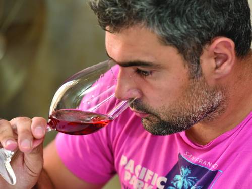 vinopis potrebni su nam vreme i strpljenje vinski magazin vino fino