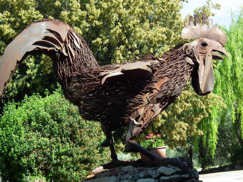 vinopis priča o crnom petlu vinski magazin vino fino