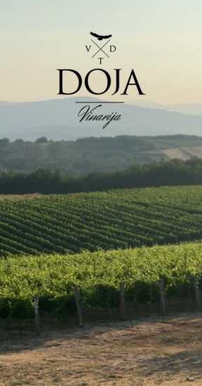 baner doja vinarija vinski magazin vino fino