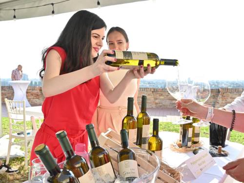 novost najbolji grašci na okupu u konaku kneginje ljubice vinski magazin vino fino