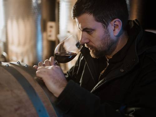 novost vinarija dragojlović u trci za suncem vinski magazin vino fino