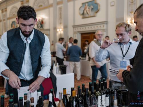 novost srpska vina ponovo zablistala u londonu vinski magazin vino fino