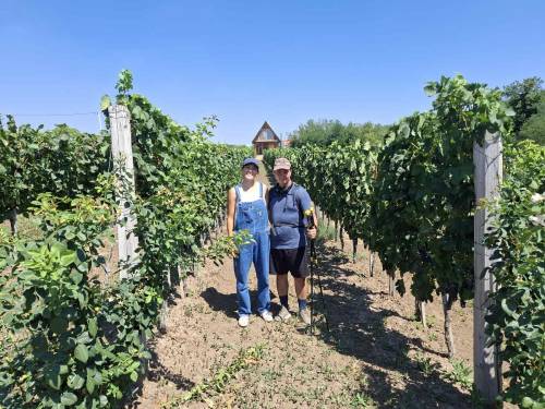 novost susret sa najmlađom vinarkom srbije vinski magazin vino fino