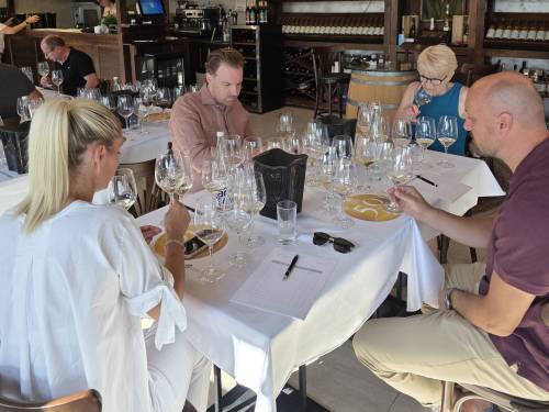 novost počeo izbor za top 50 vina fruške gore vinski magazin vino fino