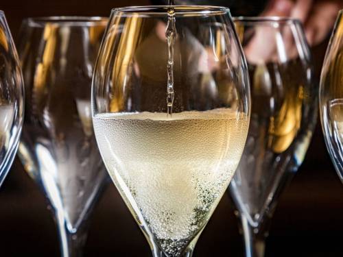 novost srpski penušavci u fokusu masterklasa na sajmu wine vision vinski magazin vino fino
