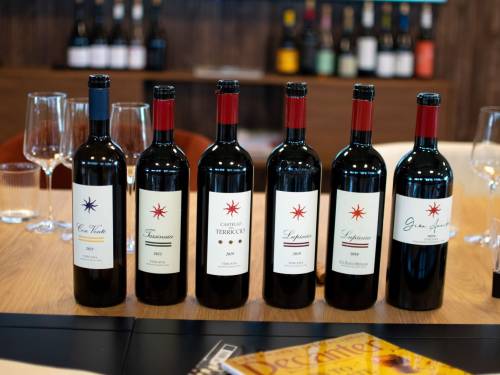 novost supertoskanci za dugo čuvanje masterklas kuće castello del terriccio vinski magazin vino fino