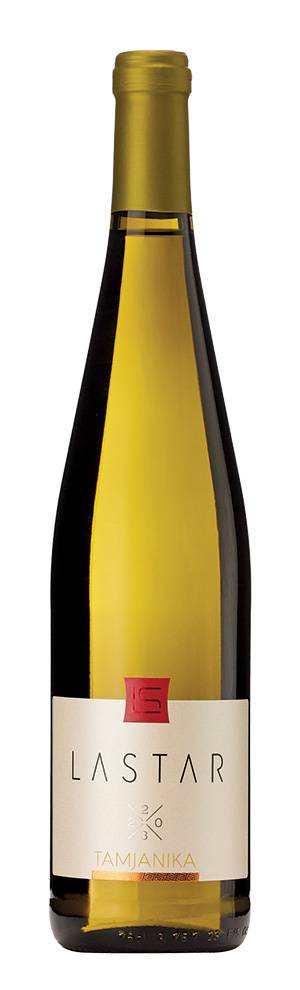 degustacija lastar tamjanika 2023 vinski magazin vino fino