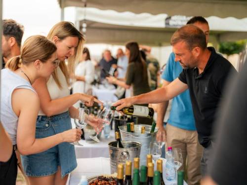 izdvojeno jun u znaku grašca vinski magazin vino fino