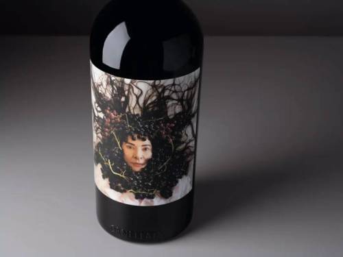 izdvojeno marina abramović na etiketi vina ornellaia vinski magazin vino fino