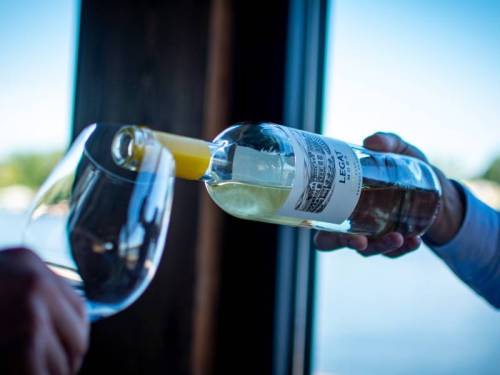 izdvojeno omaž zadrugarskom duhu vinski magazin vino fino