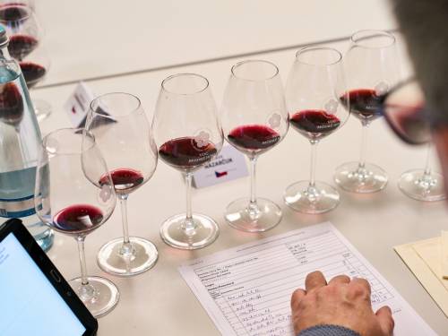 izdvojeno pet medalja u Češkoj za frankovke iz srbije vinski magazin vino fino