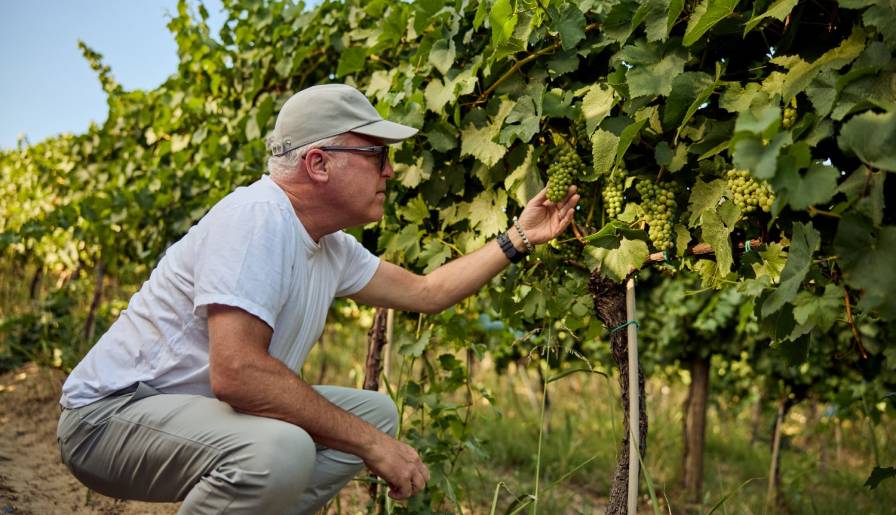 izdvojeno džejms sakling vodi dva masterklasa u beogradu vinski magazin vino fino