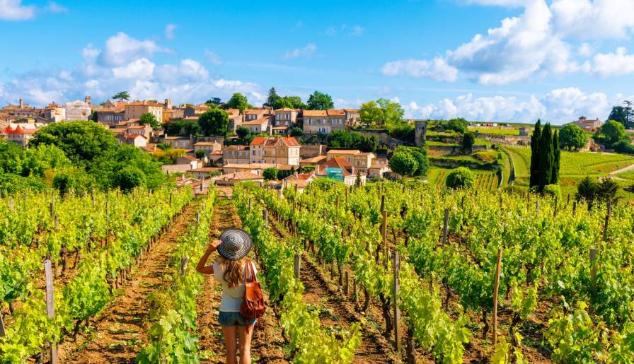 izdvojeno eu usvojila veliki paket mera za podršku vinarima vinski magazin vino fino