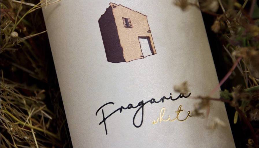 izdvojeno fragaria vina koja osvajaju srca i nepce vinski magazin vino fino