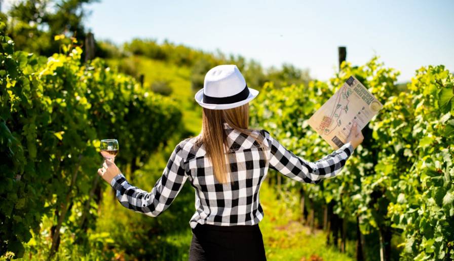 izdvojeno fruŠkogorska vinska Šetnja odrŽaĆe se 8 juna vinski magazin vino fino